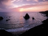 nature 3