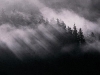 nature 4